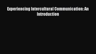 (PDF Download) Experiencing Intercultural Communication: An Introduction PDF