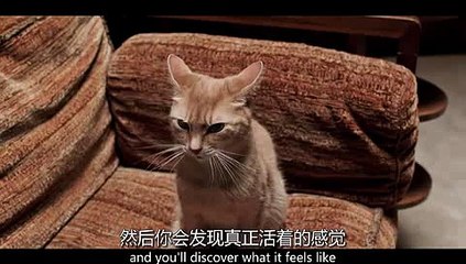 라이브다이사이∈【K E B 2 3。C O M】∋ 바카라사이트