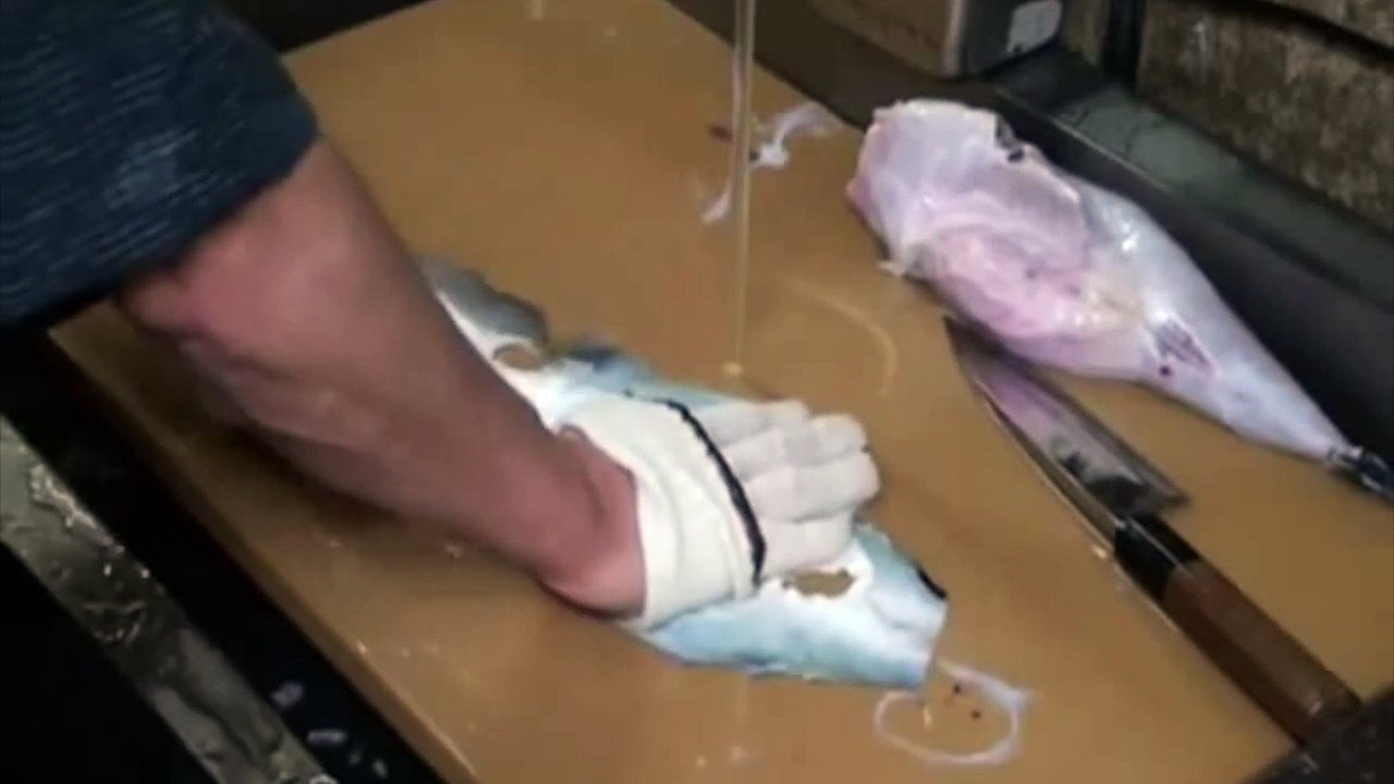 [HD] Fugu From Japanese - Expensive Food