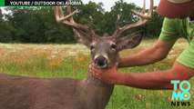 This is why Robo-Deer sting operations probably give poachers nightmares