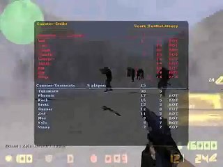 Just fun  Counter strike