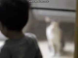 신월동출장안마《Ò1Ò↔6569↔505Ö》후❷불❹시彡신정동출장안마♃목동출장안마✹신월동출장마사지☊이럴거면♬그러지말지♬ლ(♛益♛ ლ)