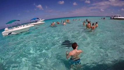 Stingray City