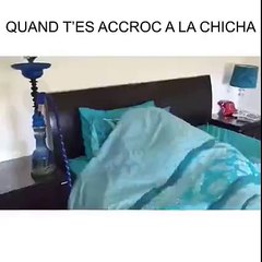Quand tu es accroc à la chicha !!!