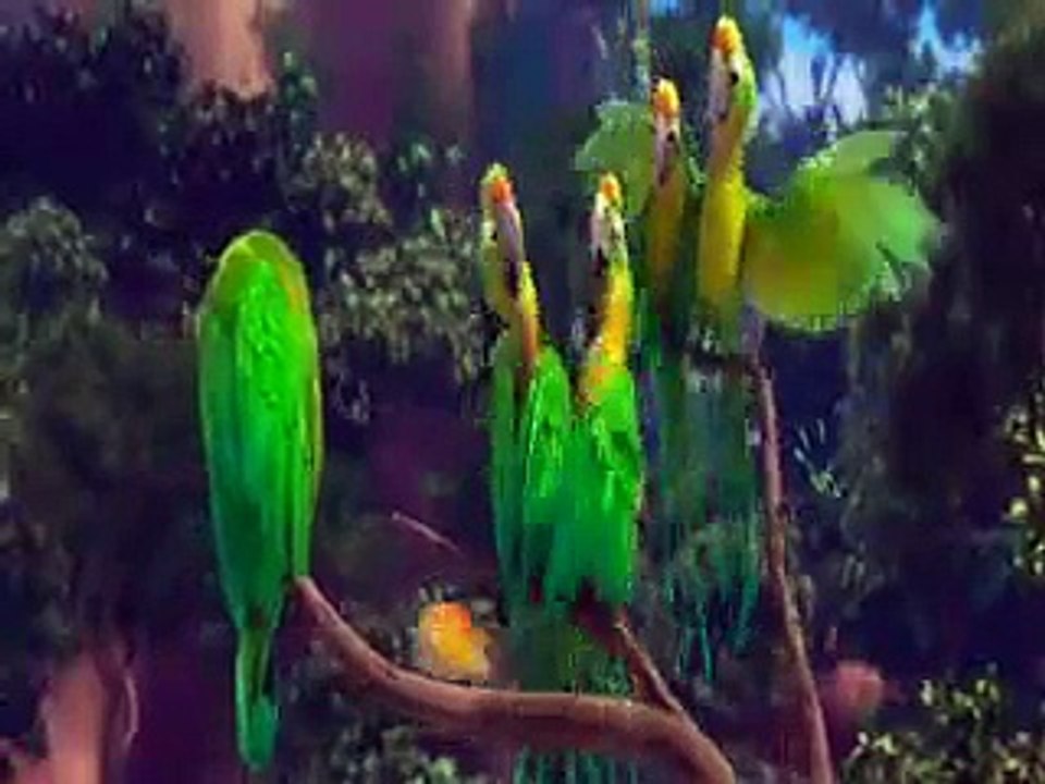 Its Dancing Birds