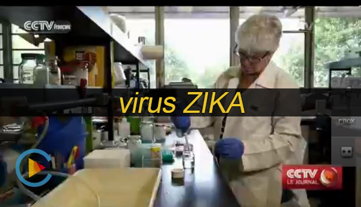 L’Amérique menacée par le virus Zika