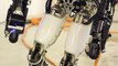 Future US Army Robot Meet ATLAS  the World Most Advanced Robot