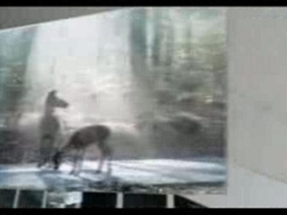 New BMW 5 Series 2008