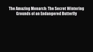 (PDF Download) The Amazing Monarch: The Secret Wintering Grounds of an Endangered Butterfly