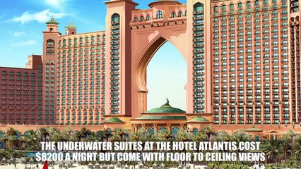Amazing Things Youll Only See In Dubai