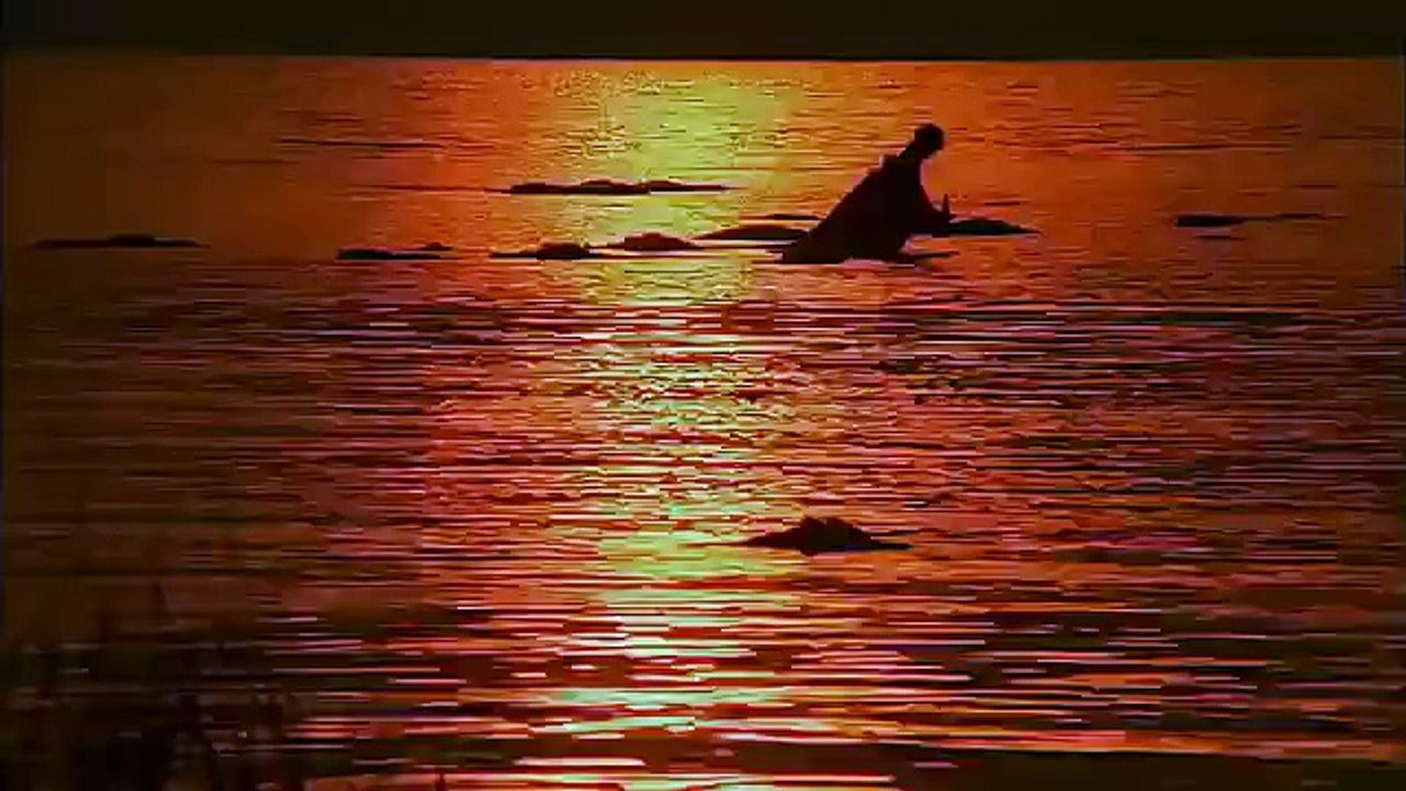 Betatiful Nature Scene 3