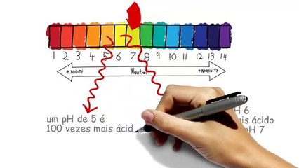 Dieta Alcalina   pH balanceado wwwdietaalcalinabiz