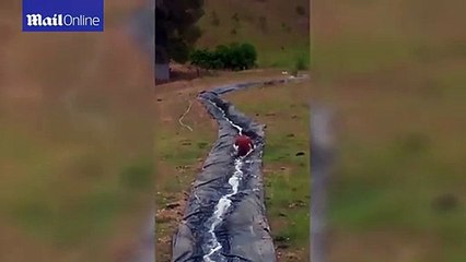 Epic homemade slide called 'The Slip and Bleed' _ Daily Mail Online