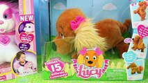 NEW Lucy Puppy Dog Talking Commands Pup & Puppy Surprise Roxy 2015 Mystery Dog by DisneyCa