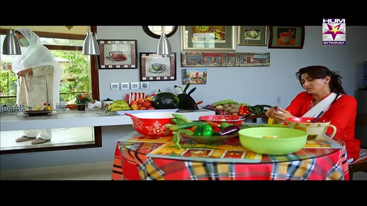 Sawaab Episode 27 Full HumSitaray TV Drama 14 July 2015