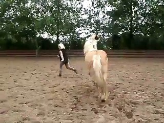 Clickertraining with Angus