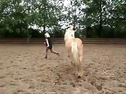 Clickertraining with Angus