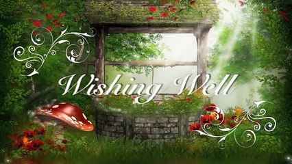 Wishing Well