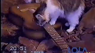 Sam and cat-cat plays the guitar!