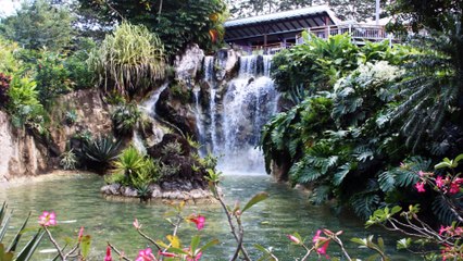 La Guadeloupe à Noel pour Mathieu C