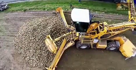 Aerials sugar beet harvest iتجميع الشمندر السكري