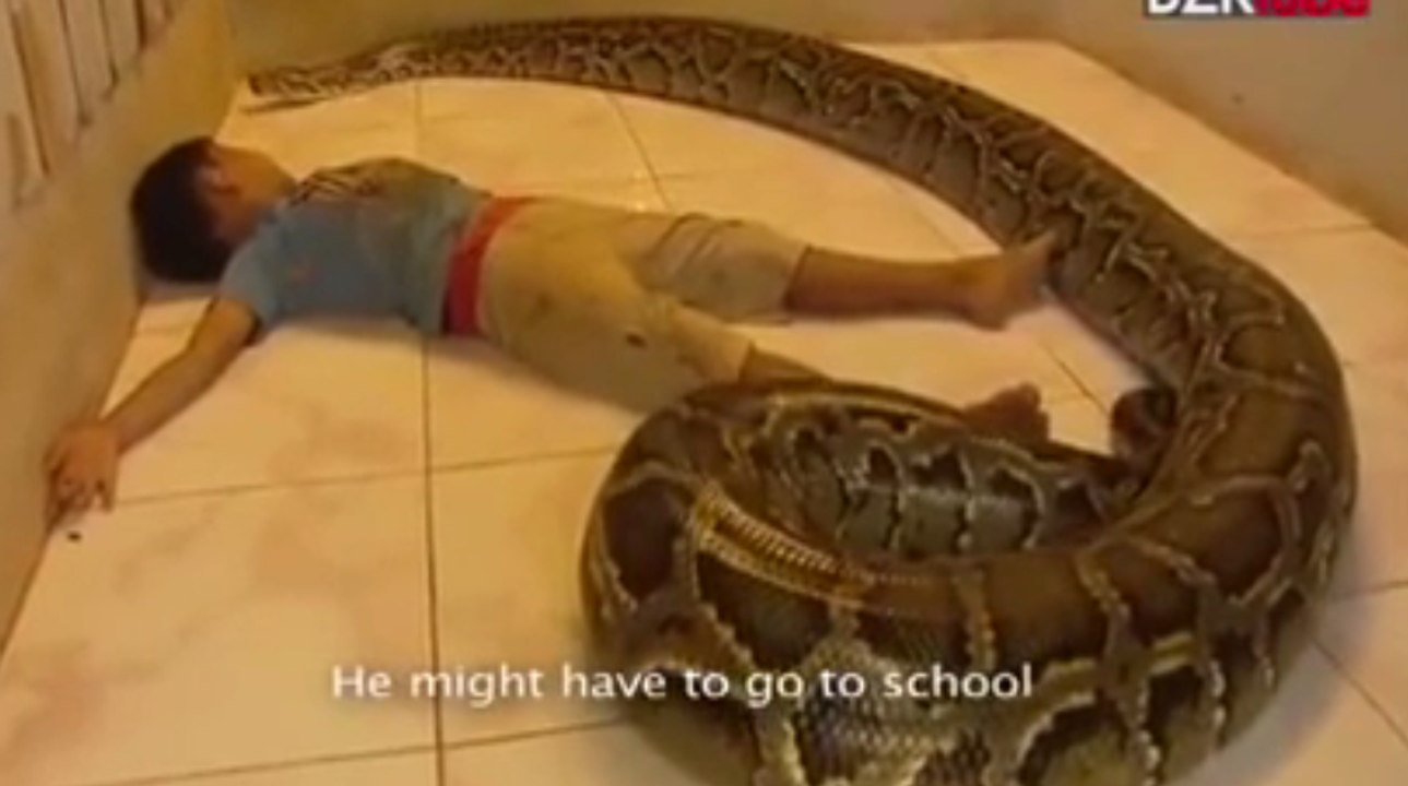Boy and Snake Video