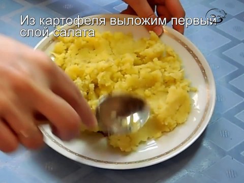 Салат Мимоза. Простые рецепты салатов