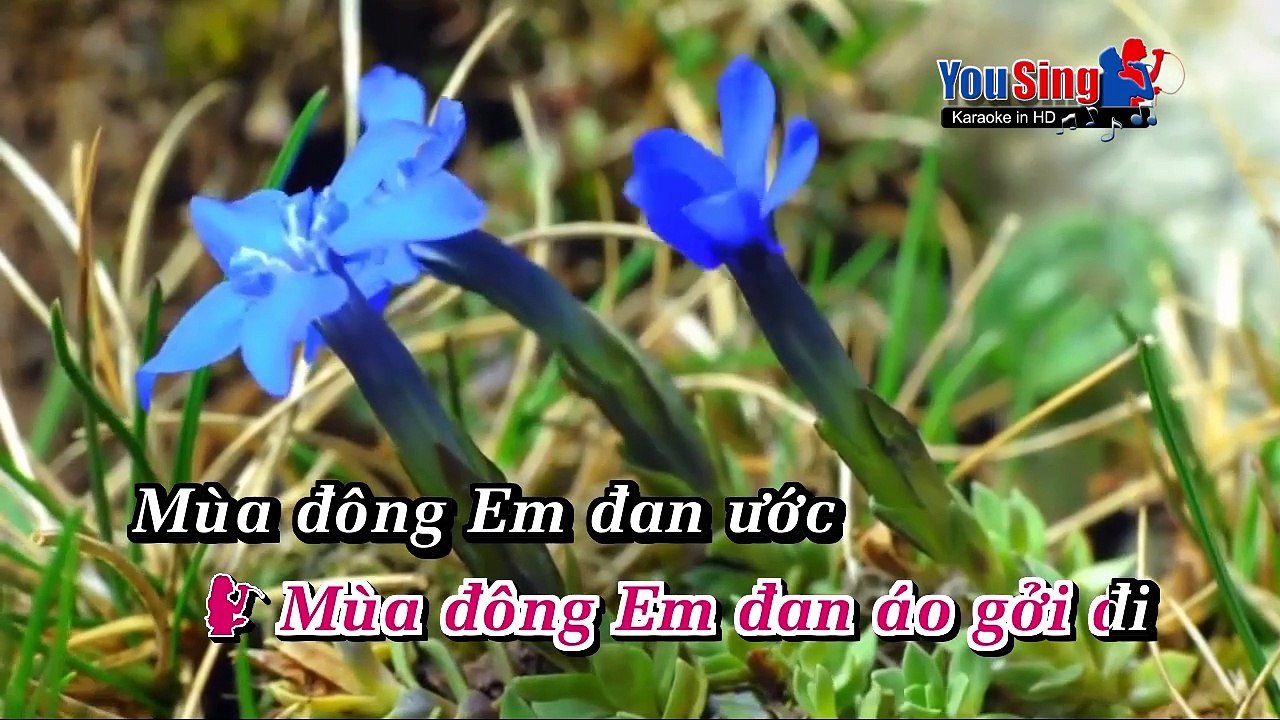 Karaoke Chuyện Tình Người Đan Áo_Mỹ Huyền & Randy