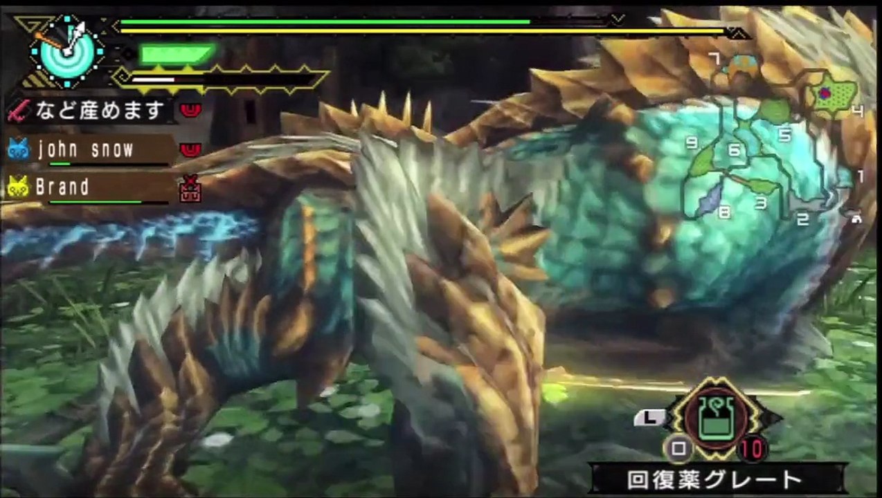 Monster Hunter Portable 3rd Zinogre Jinouga ジンオウガ Longsword PS3 HD