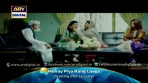 Mohay Piya Rang Laaga - ARY Digital