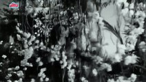 Aaja Sanam Madhur Chandani - Raj Kapoor, Nargis, Chori Chori - Full Video Song