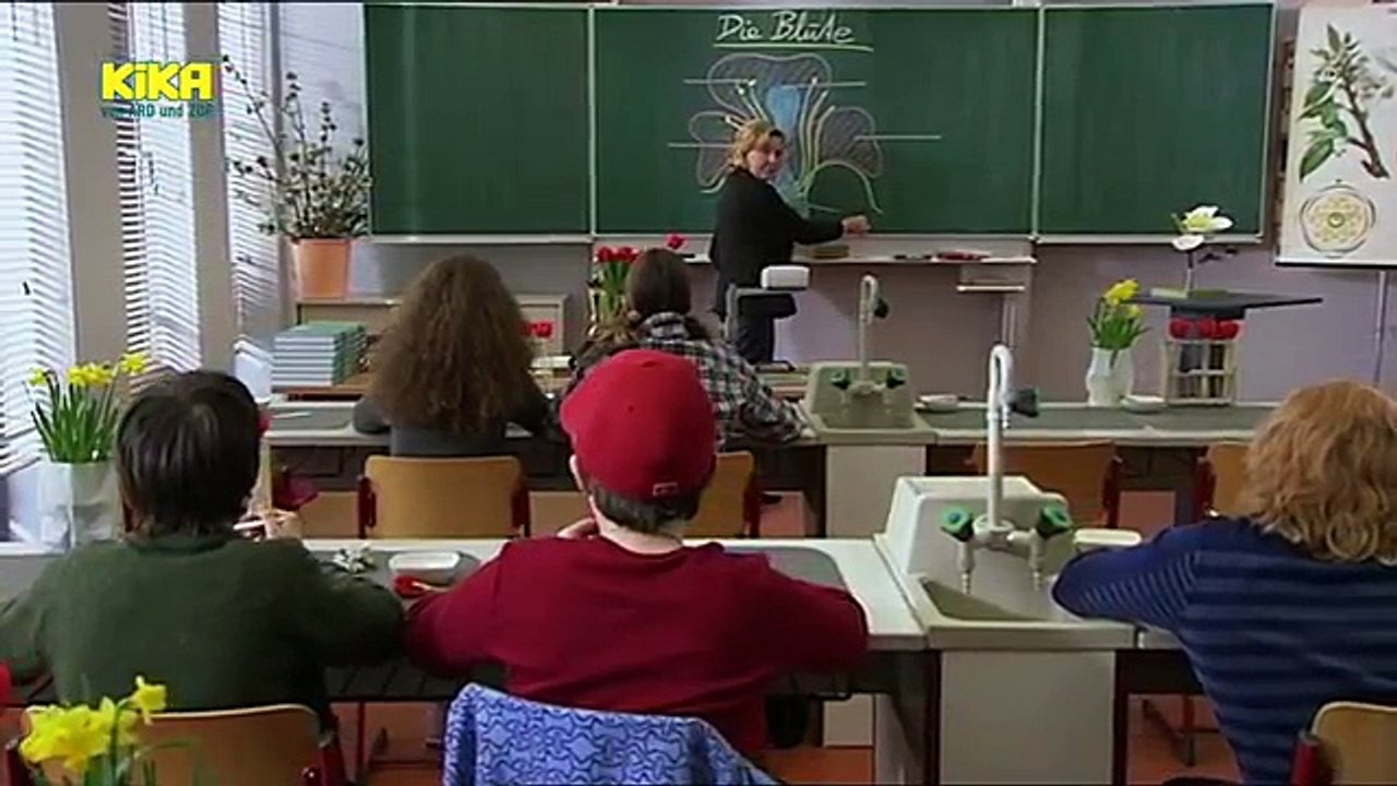 Schloss Einstein Folge 513