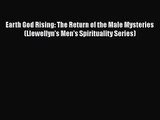Earth God Rising: The Return of the Male Mysteries (Llewellyn's Men's Spirituality Series)