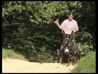 Ferme du Cheval de Trait (ver. HD)