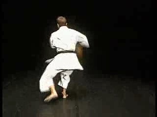 KARATE KATA DYNAMIQUE Vol. 1 Michael Millon