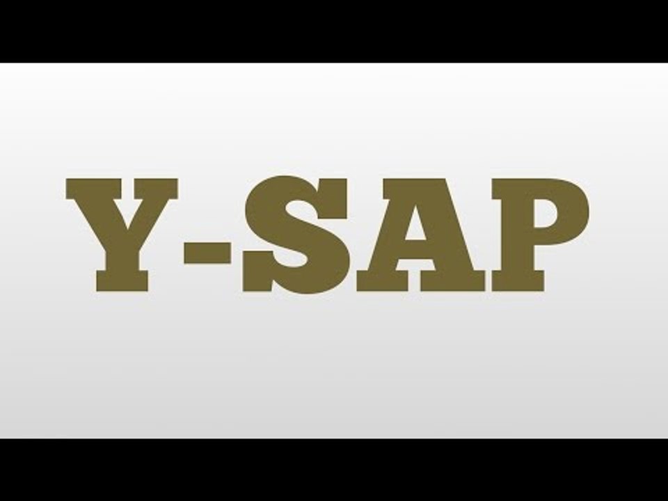 Y-SAP meaning and pronunciation