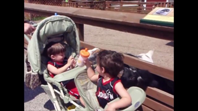 Ce gamin fait boire une chèvre à son biberon... Bon pour la stérilisation!