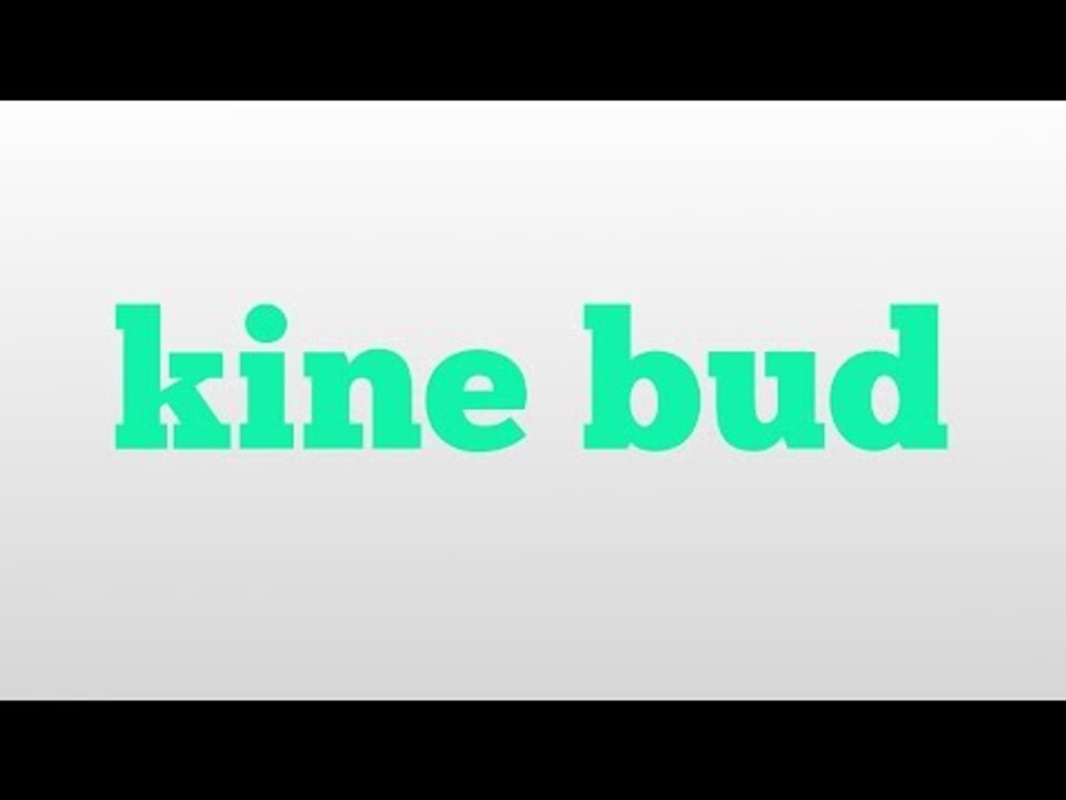 kine bud meaning and pronunciation video Dailymotion