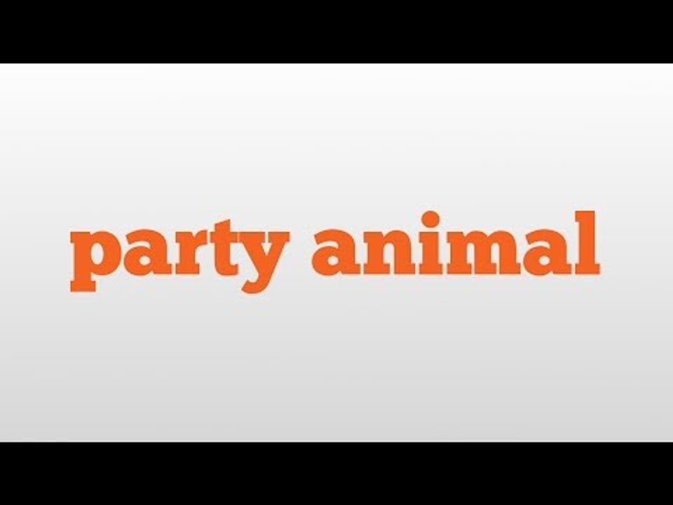 party animal meaning and pronunciation
