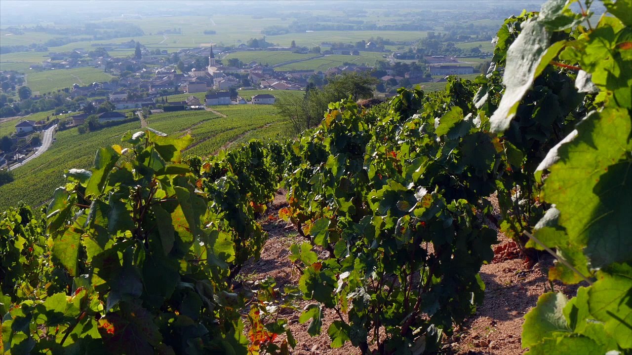 Instant Beaujolais - AOC Fleurie