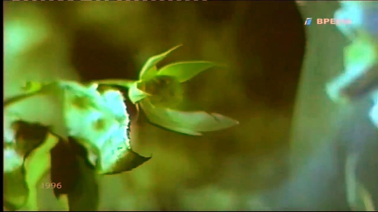 Влад Сташевский - Свадебное платье