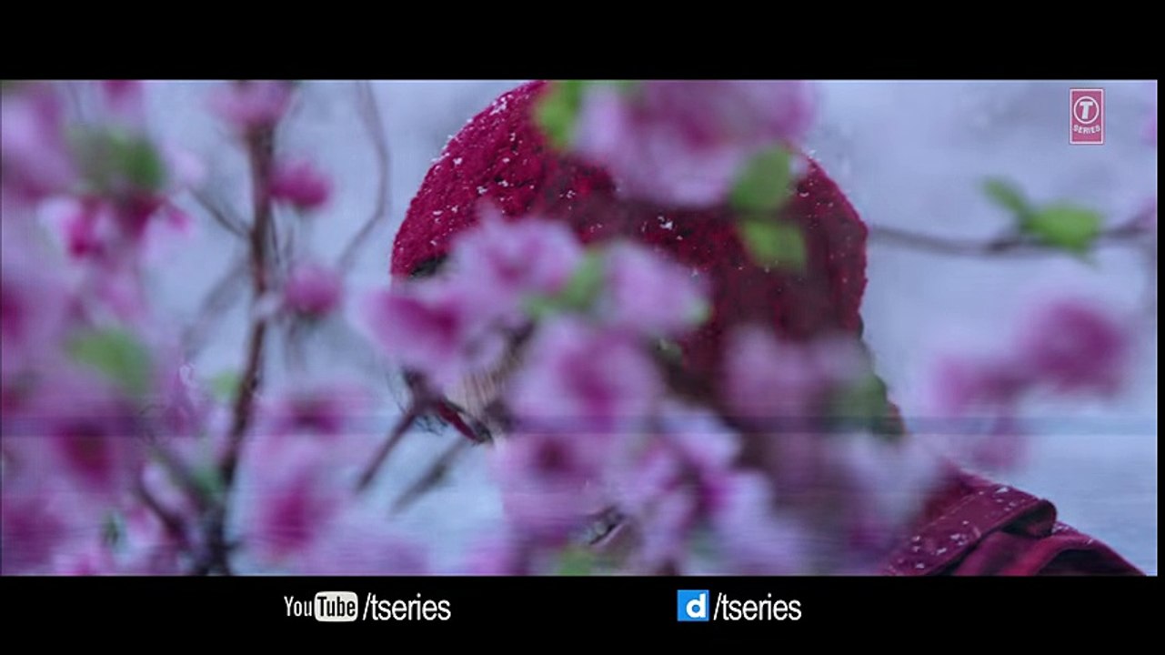 SANAM RE Song (VIDEO) - Pulkit Samrat, Yami Gautam, Urvashi Rautela, Divya Khosla Kumar - T-Series - YouTube