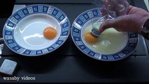 Cool Science Experiments you can do with Eggs. 7 Simple Life Hacks with EGGS at home. -