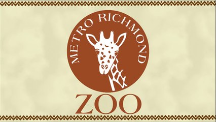 Un guepard et un chien jouent dans la neige