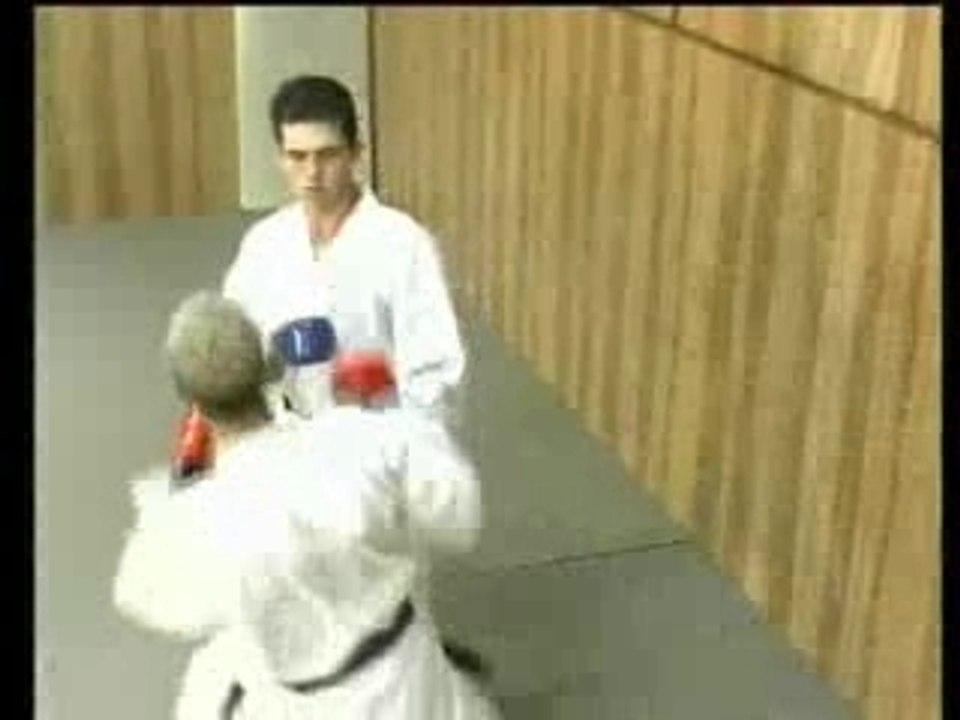 KARATE TECHNIQUES DE COMPETITION