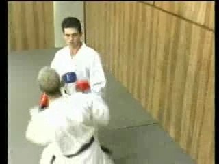 KARATE TECHNIQUES DE COMPETITION