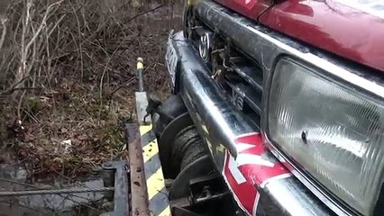 Baja Beetle climbing over rocks in Sycamore Creek 2002