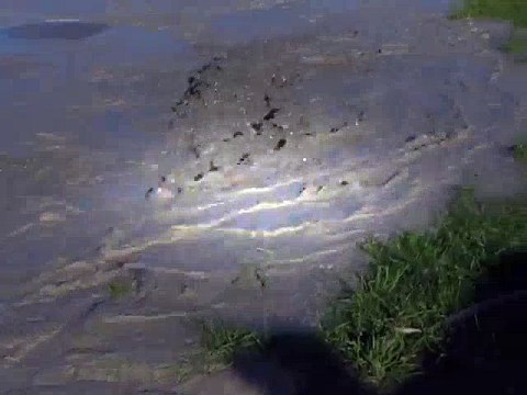 Christchurch Earthquake 1June 201Liquefaction RAW footage Disastrous Earthquakes