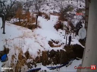 Aç kalan vaşaklar yerleşim merkezine indi