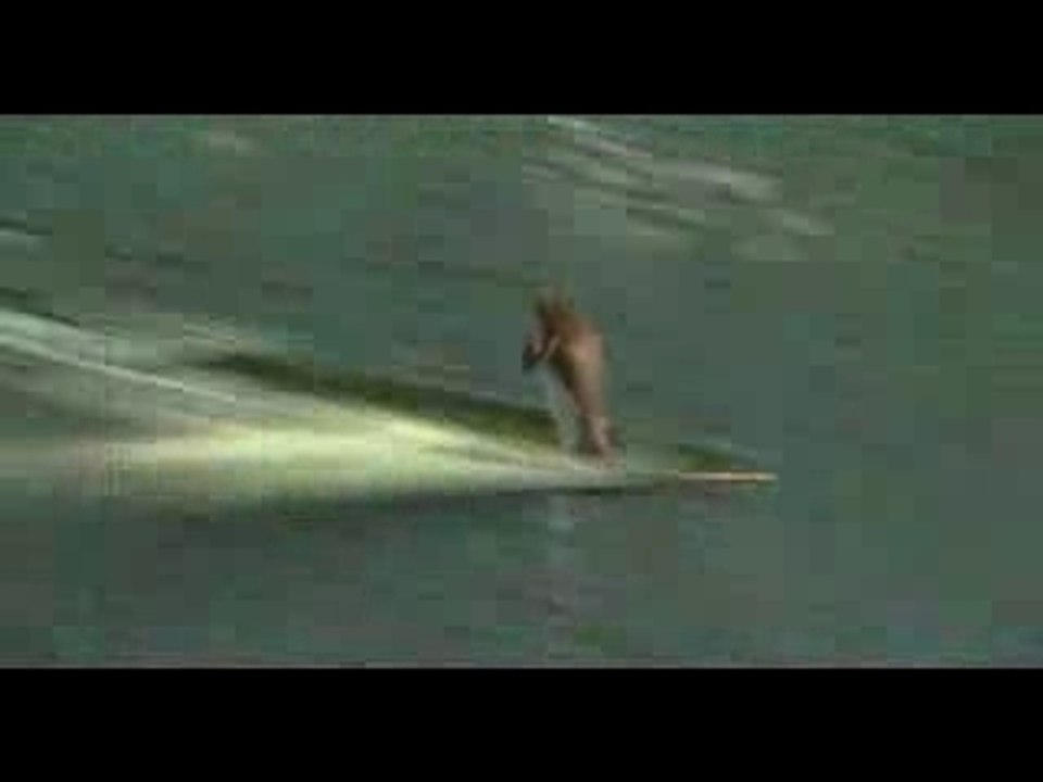 Surf's Up Trailer